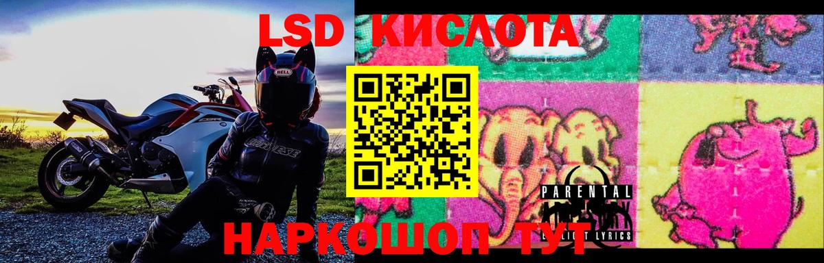 кракен   Лсд 25 экстази кислота  ЛСД экстази ecstasy  Вход с VPN  Новозыбков 