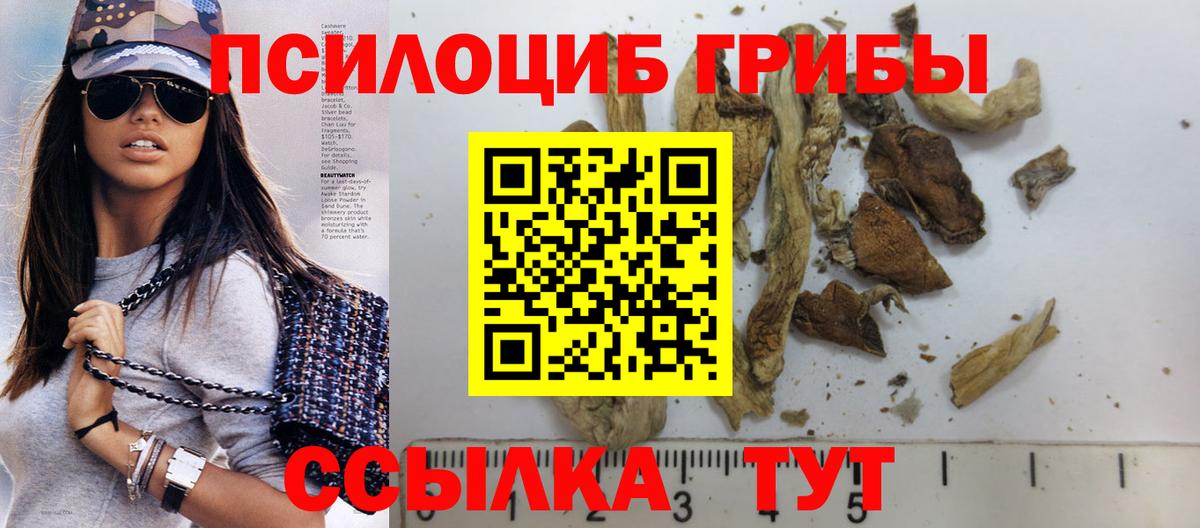 Новозыбков  Галлюциногенные грибы мухоморы  Вход с VPN 