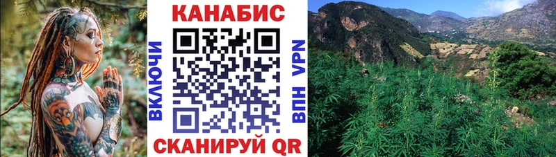 даркнет сайт  Новозыбков  МЕГА вход  Марихуана White Widow 